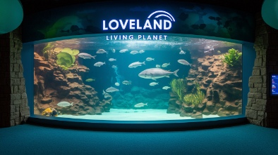 loveland living planet aquarium