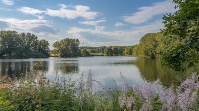 murray park